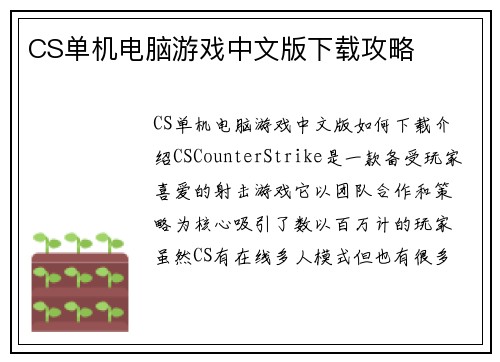 CS单机电脑游戏中文版下载攻略